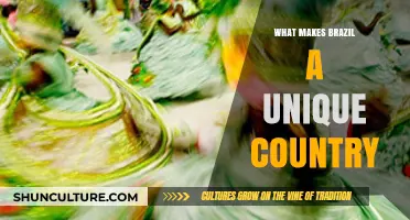 Brazil's Cultural Diversity, Natural Wonders, and Vibrant Spirit: A Unique Nation