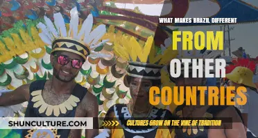 Brazil's Unique Culture, Nature, and Spirit: A Country Like No Other