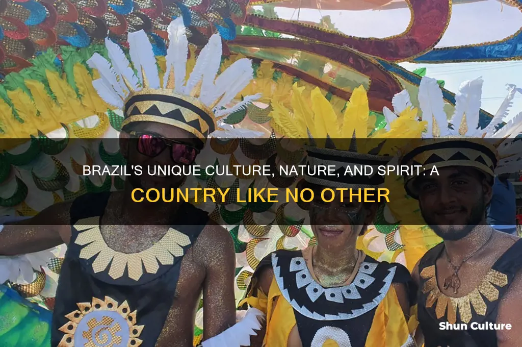 what makes brazil different from other countries