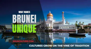 The Unique Charm of Brunei