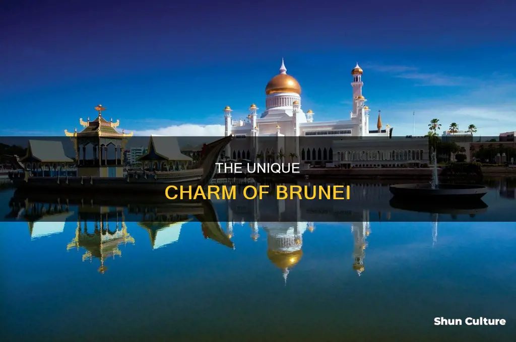 what makes brunei unique