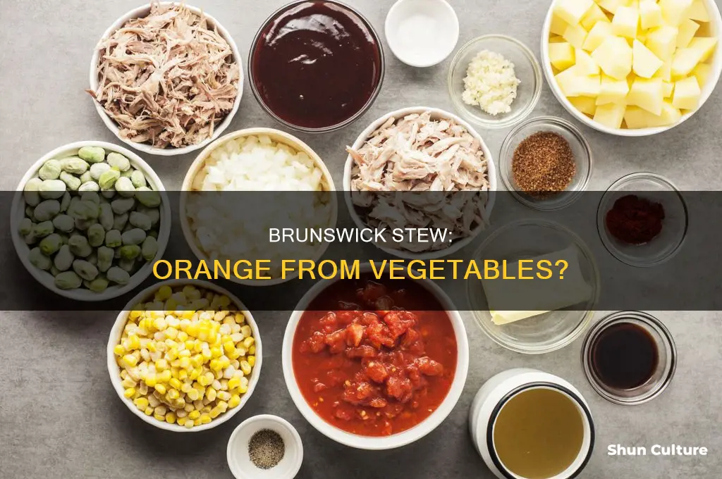 what makes brunswick stew orange