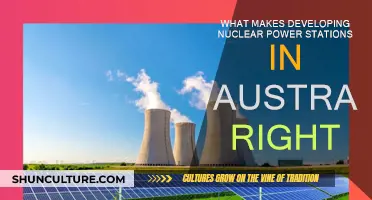 Nuclear Power: Australia's Energy Future?