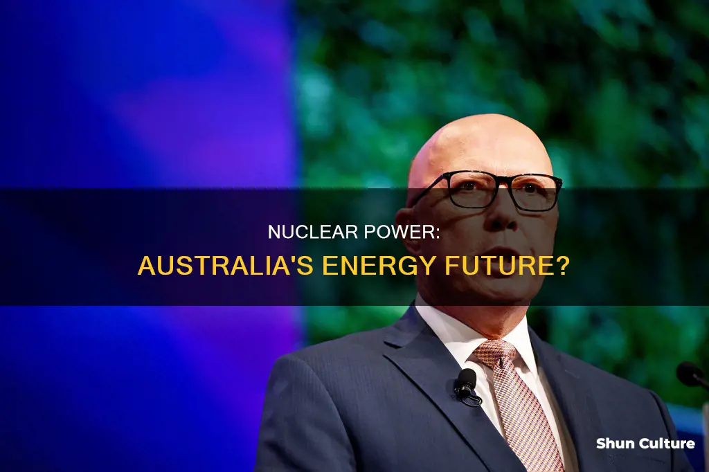 what makes developing nuclear power stations in australia right