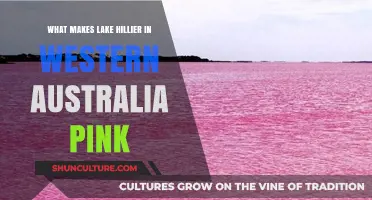 The Pink Lake Hillier: A Natural Wonder