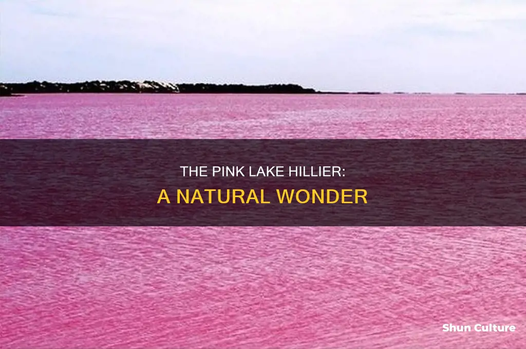what makes lake hillier in western australia pink