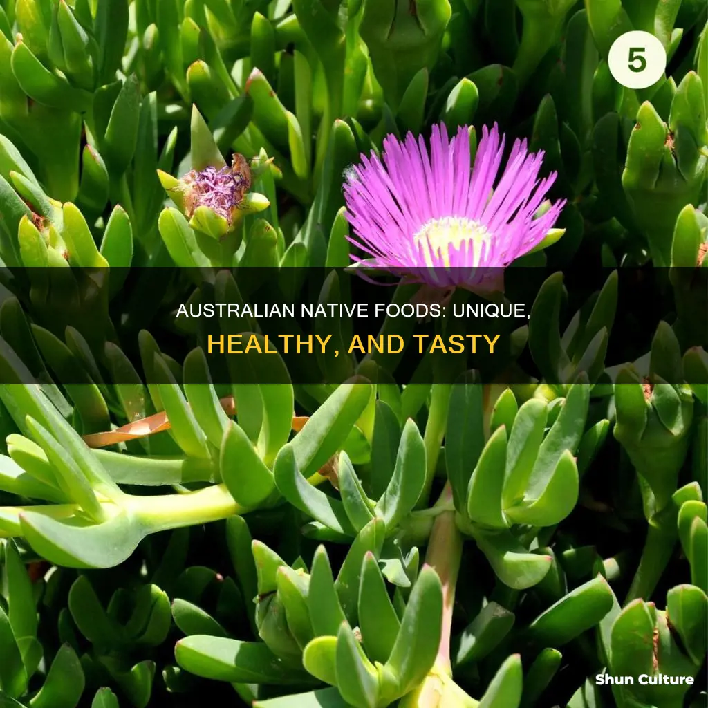 what makes native australian foods unique