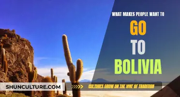 Exploring Bolivia: What Draws Travelers to This Country?