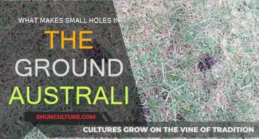 Mysterious Small Holes in Australian Ground: What's the Cause?