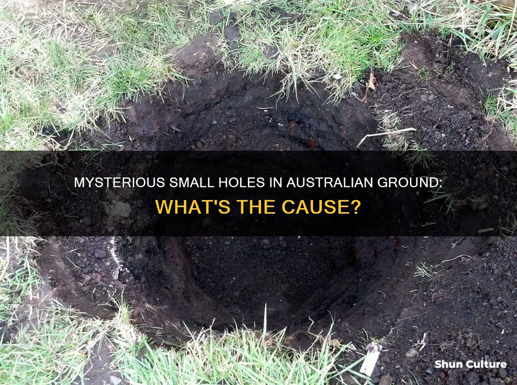 what makes small holes in the ground australia