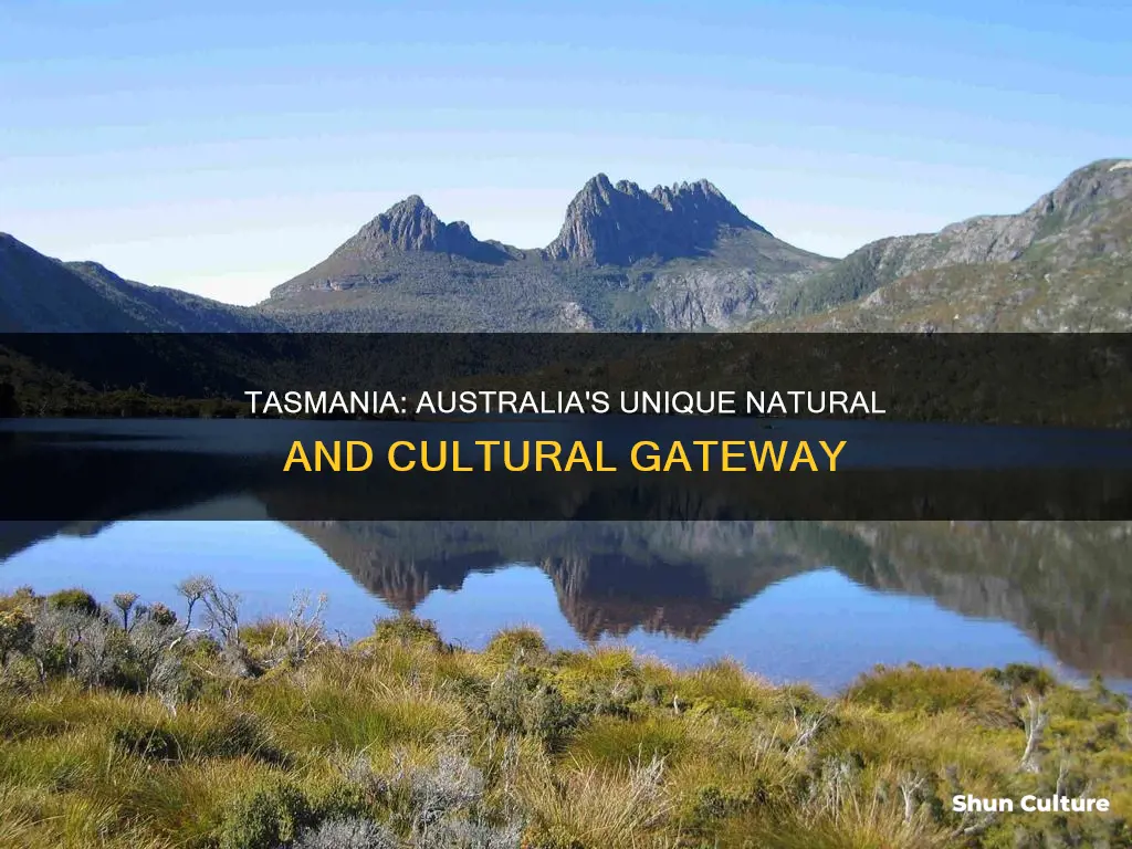 what makes tasmania a unique location to understand australia