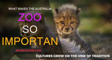 Australia Zoo: Global Conservation and Education Hub