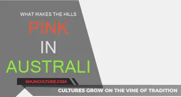 The Mystery of Australia's Pink Hills