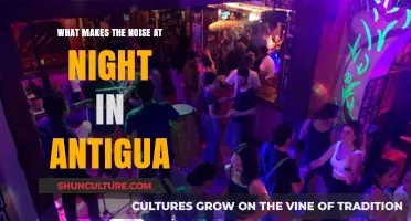 Unveiling Antigua's Nighttime Noises: Exploring the Sounds After Dark