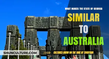 Georgia and Australia: Similarities in Nature and Industry