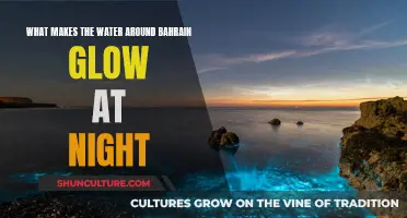 Bahrain's Glowing Seawaters: A Magical Nighttime Attraction