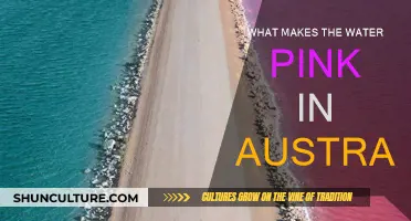 The Mystery Behind Australia's Pink Water