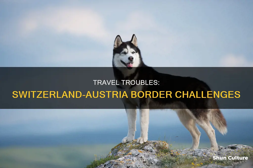 what makes travel difficult between switzerland and austria