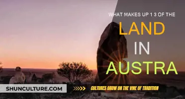 Red Desert: Australia's Unique Landscape Feature
