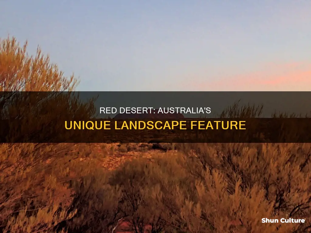 what makes up 1 3 of the land in australia