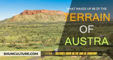 The Vast Australian Outback: A Unique Landscape