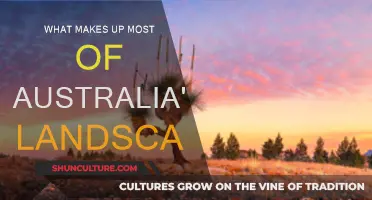 Australia's Landscape: A Vast and Varied Wilderness