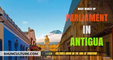 Understanding Antigua's Parliament: Structure, Roles, and Key Components Explained