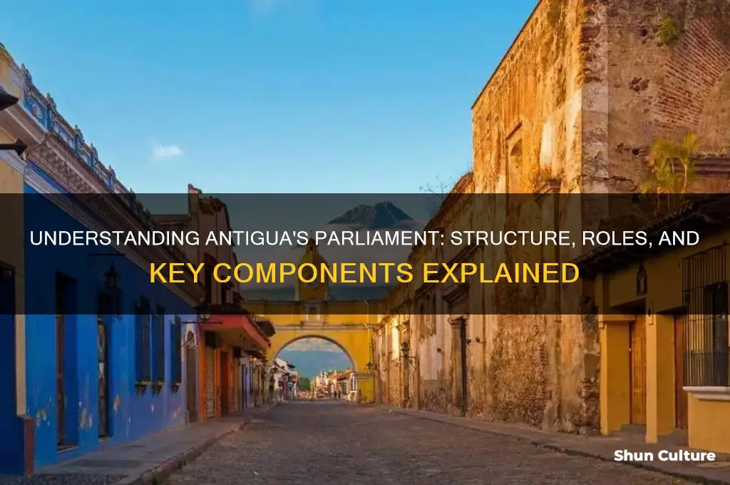 what makes up parliament in antigua