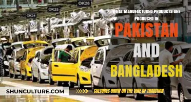 Pakistan and Bangladesh's Manufacturing Power: Key Products and Industries