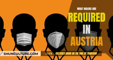 A Comprehensive Guide to Mask Regulations in Austria