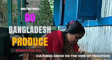 Exploring Bangladesh's Diverse Production of Natural and Industrial Materials
