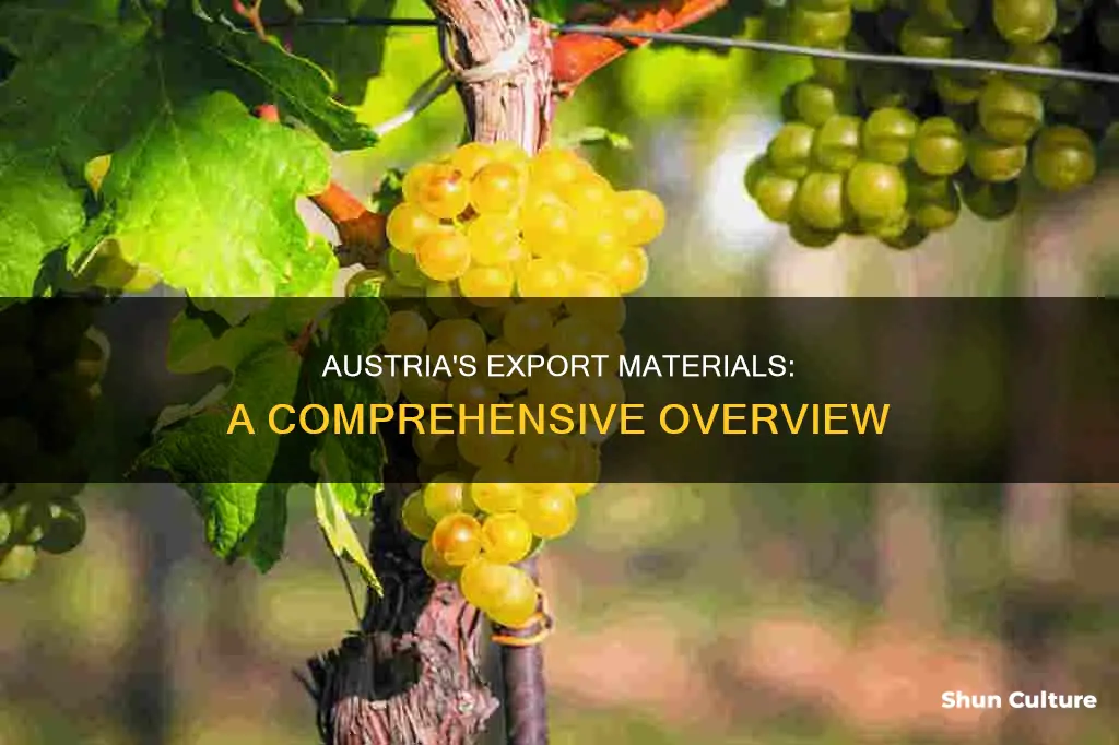 what materials does austria export