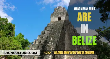 Belize's Mayan Ruins: A Guide