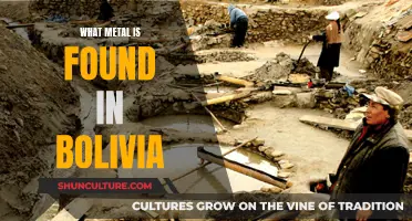 Exploring Bolivia's Rich Veins: Metal Treasures Uncovered