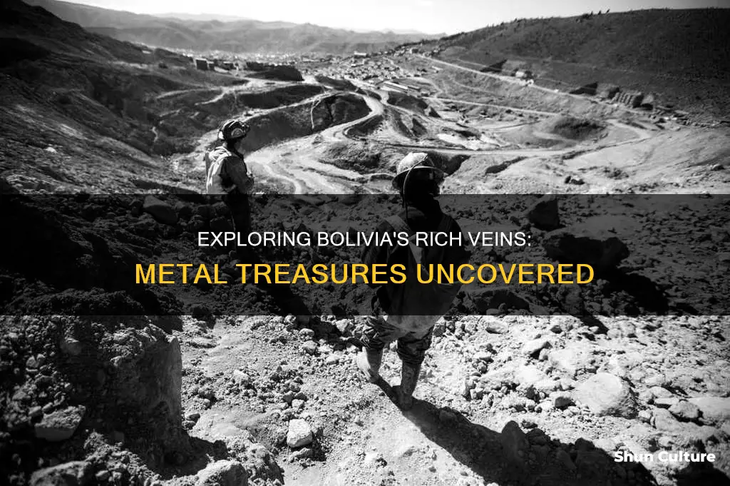 what metal is found in bolivia