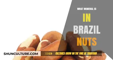 Brazil Nuts' Hidden Mineral: Unlocking Selenium's Health Benefits