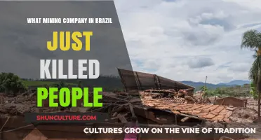Brazil Mining Tragedy: Company Responsible for Deadly Incident Identified
