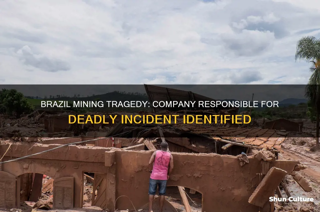what mining company in brazil just killed people