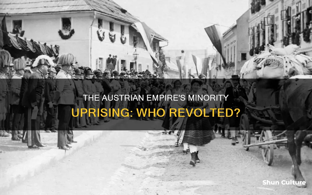 what minority in the austria empire revolted
