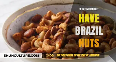 Discovering Brazil Nuts in Mixed Nut Blends: A Tasty Guide