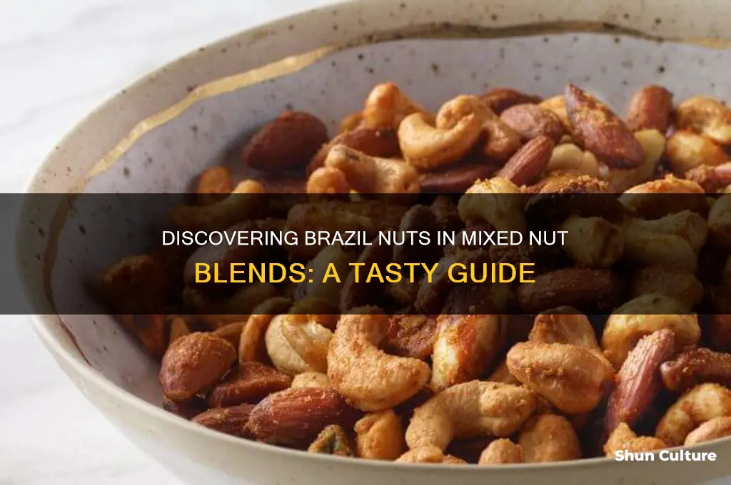 what mixed nut have brazil nuts