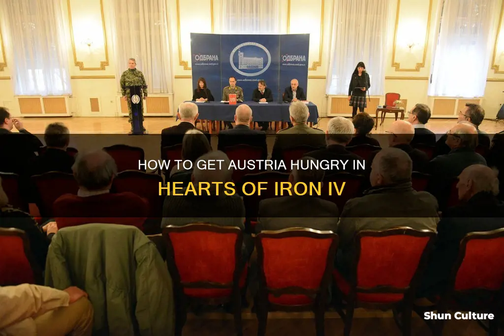 what mod to get austria hungry in hoi4