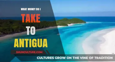 Traveling to Antigua: Best Currency Tips for a Stress-Free Trip
