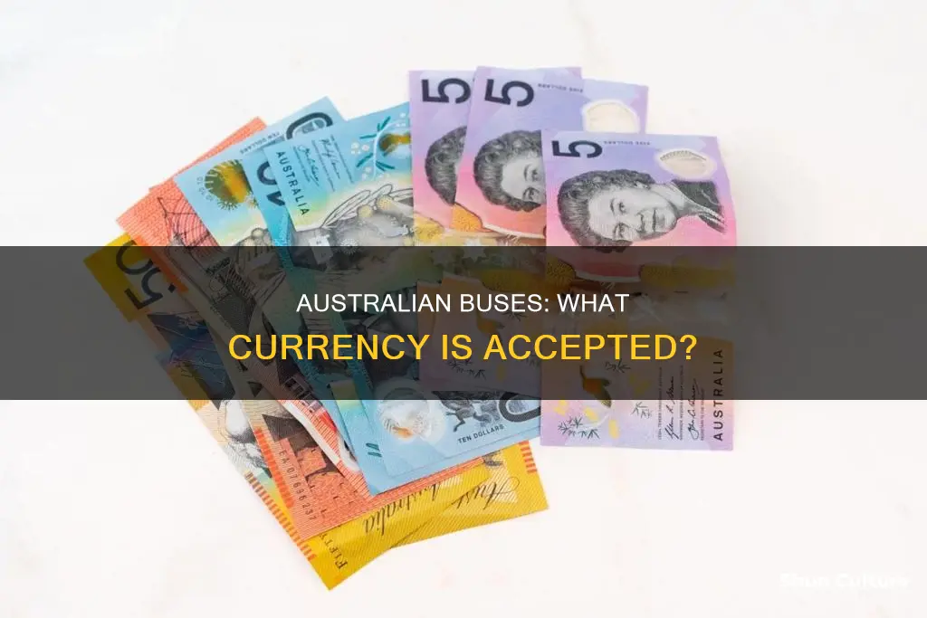 what money do they accept on the bus in australia