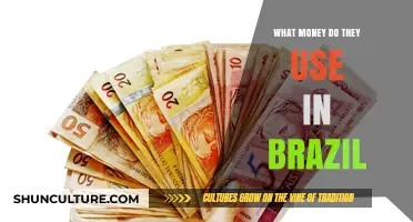 Brazilian Currency Explained: Understanding the Real in Brazil's Economy