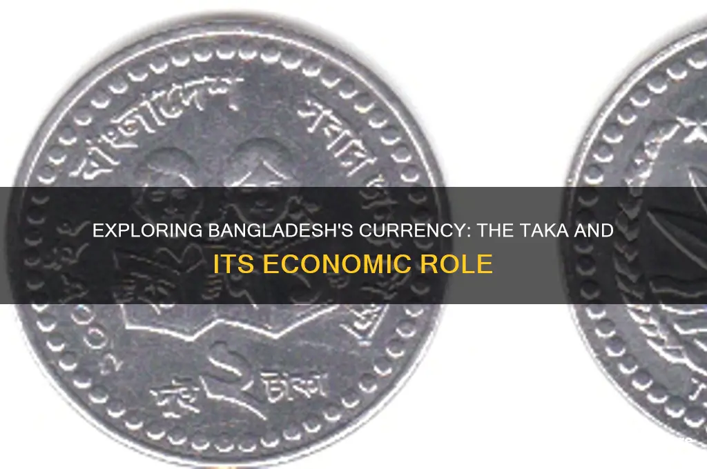 what money does bangladesh use