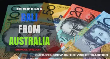 Best Currency Options for Australians Visiting Bali