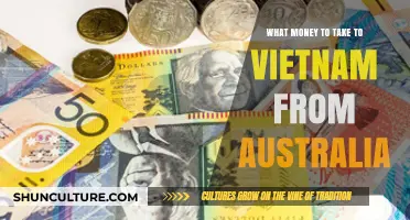Australian Dollars or Vietnamese Dong: Money in Vietnam