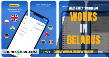 Money Transfer Apps: Options for Belarus