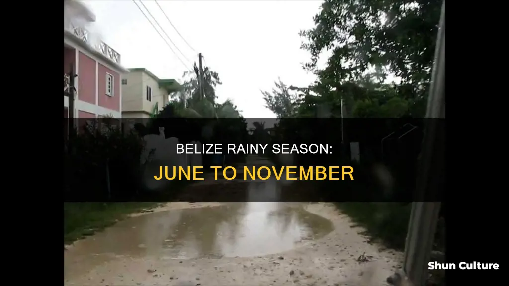 what months are the rainy season in belize